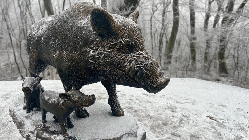      Фото: соцсети Евгения Бакулина
