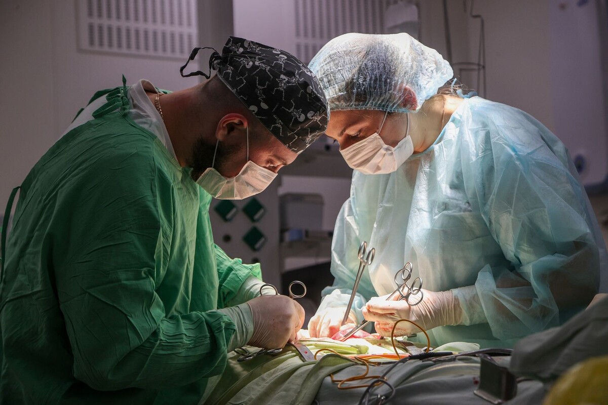     / Источник: © Belkin Alexey/Global Look Press