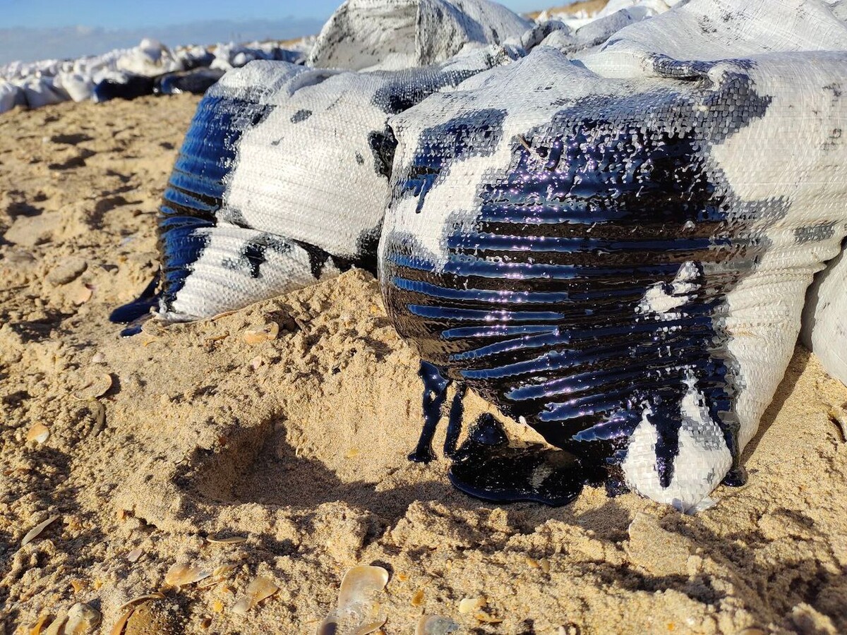     / Источник: © ИЗВЕСТИЯ/Иван Ковалев