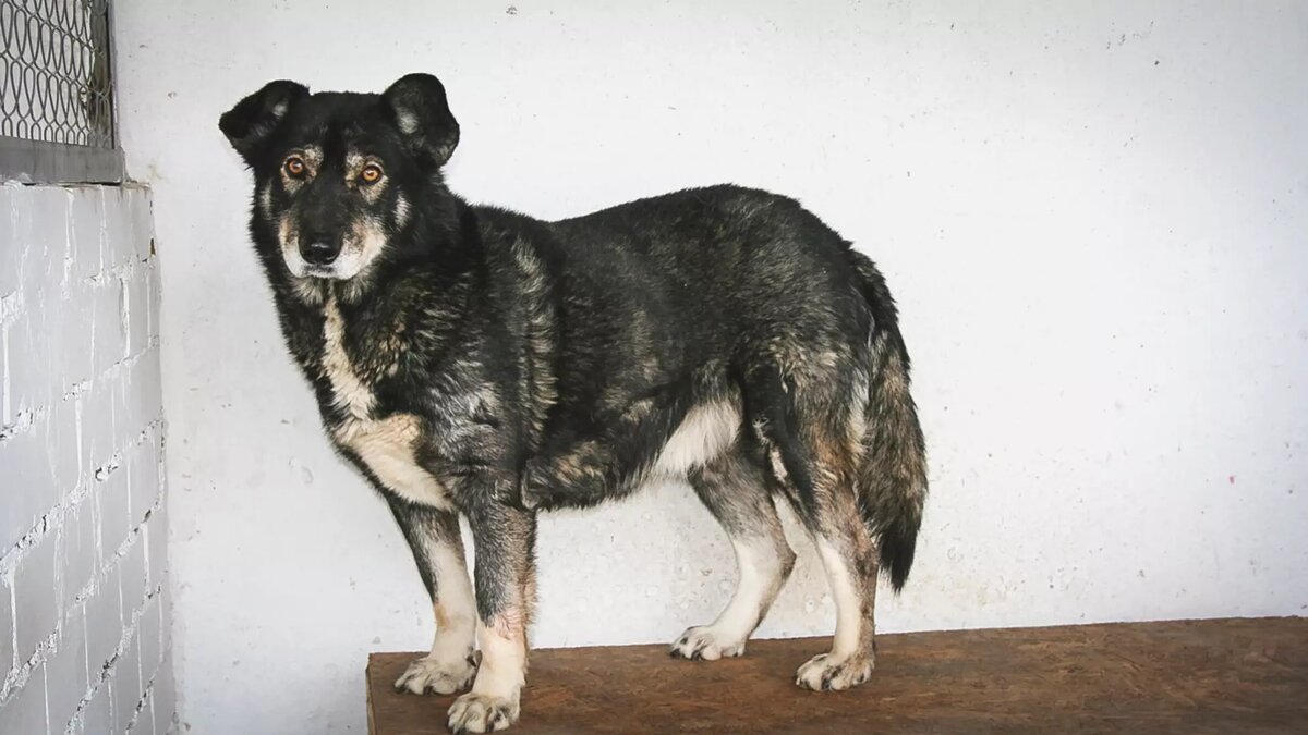     Источник: 1MI