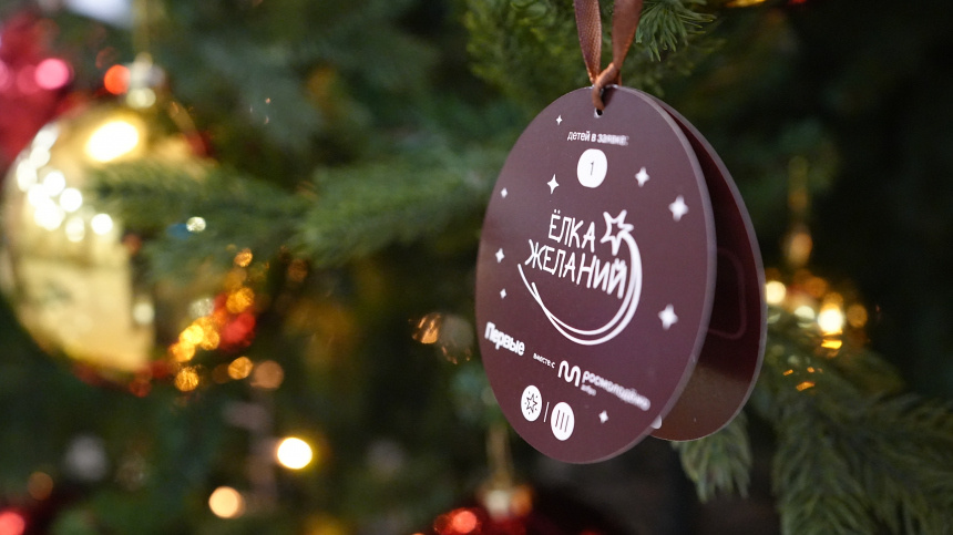    Фото: ИЗВЕСТИЯ/Павел Волков; 5-tv.ru