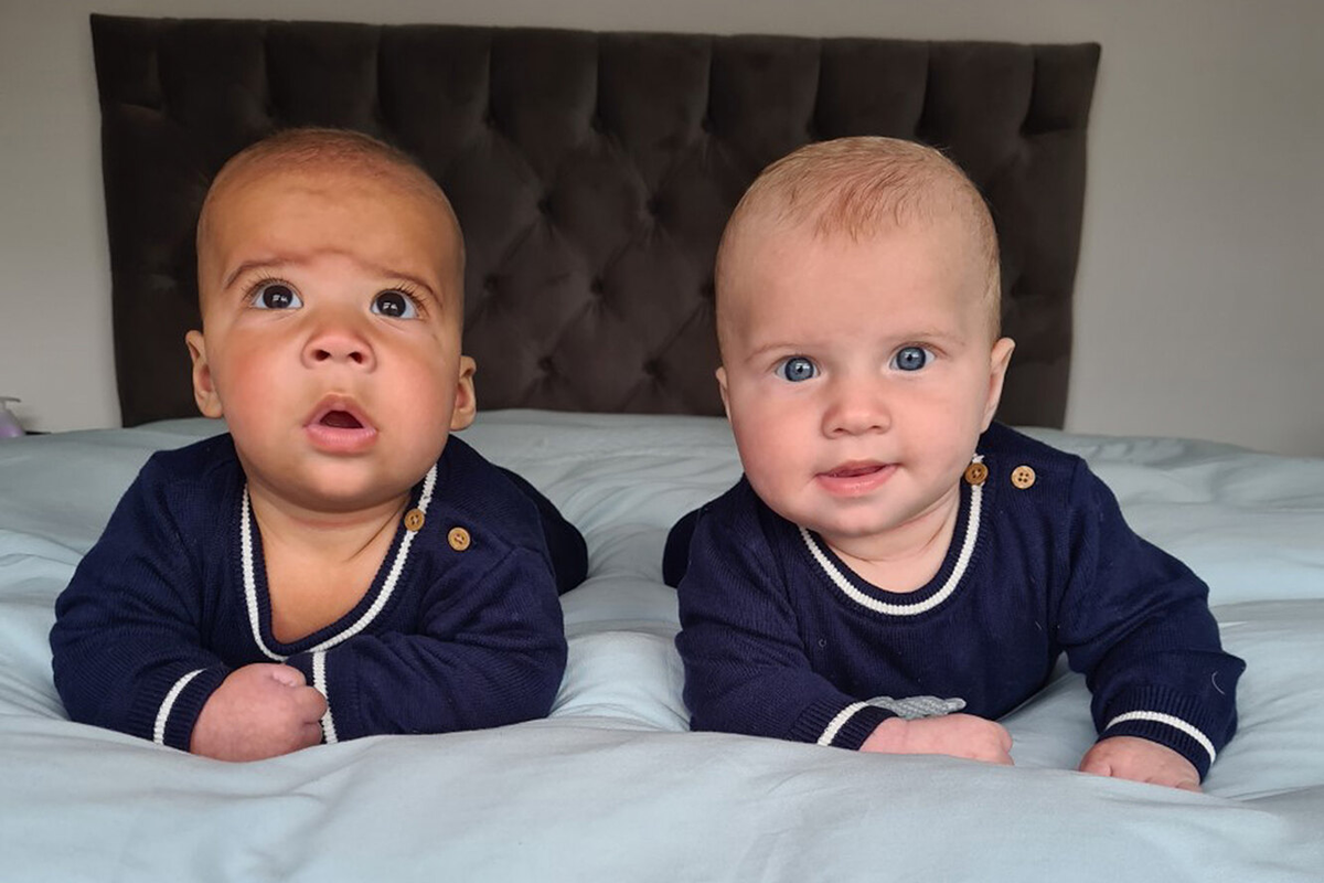 Примерно так выглядят детки моей знакомой. Фото из интернета