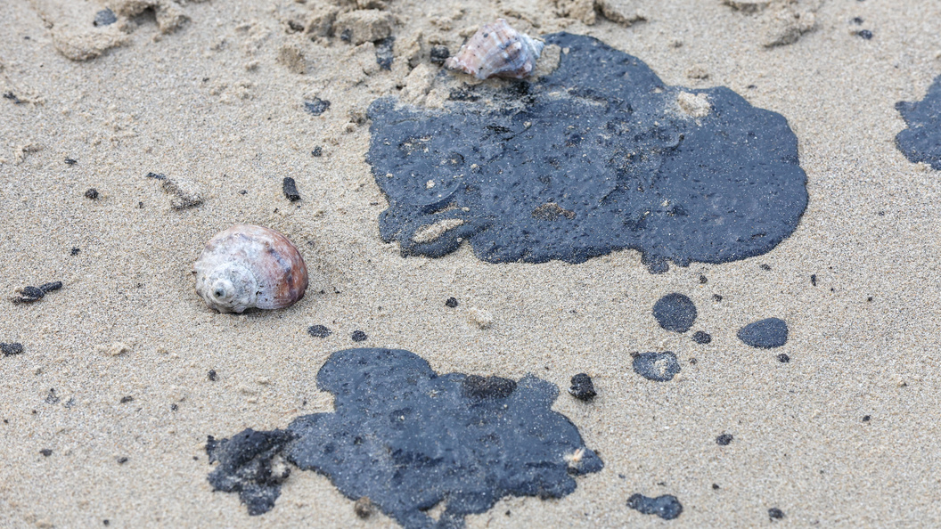    Фото: Belkin Aleksey/Globallookpress