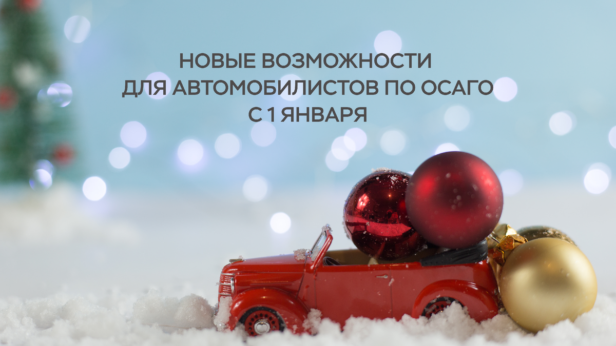 Фото: gorshkovaphoto / Shutterstock