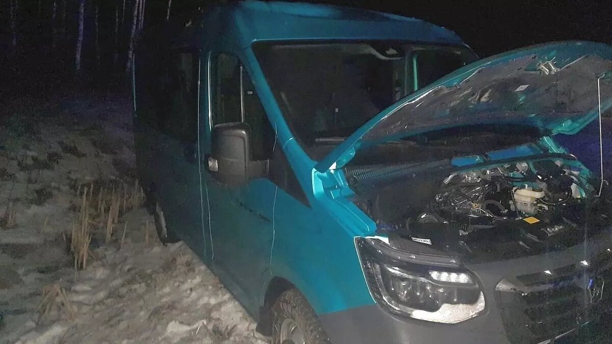     Источник: Госавтоинспекция Карелии / vk