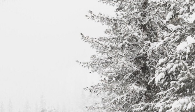   Изображение от freepik