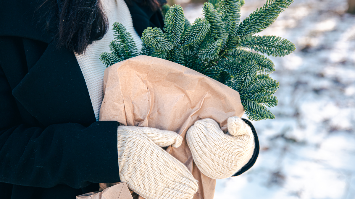 Иллюстрация от pvproductions на freepik.com