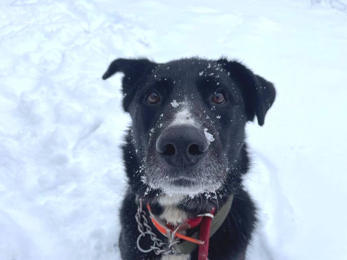 Я всё равно не понимаю этого слово - судьба.
