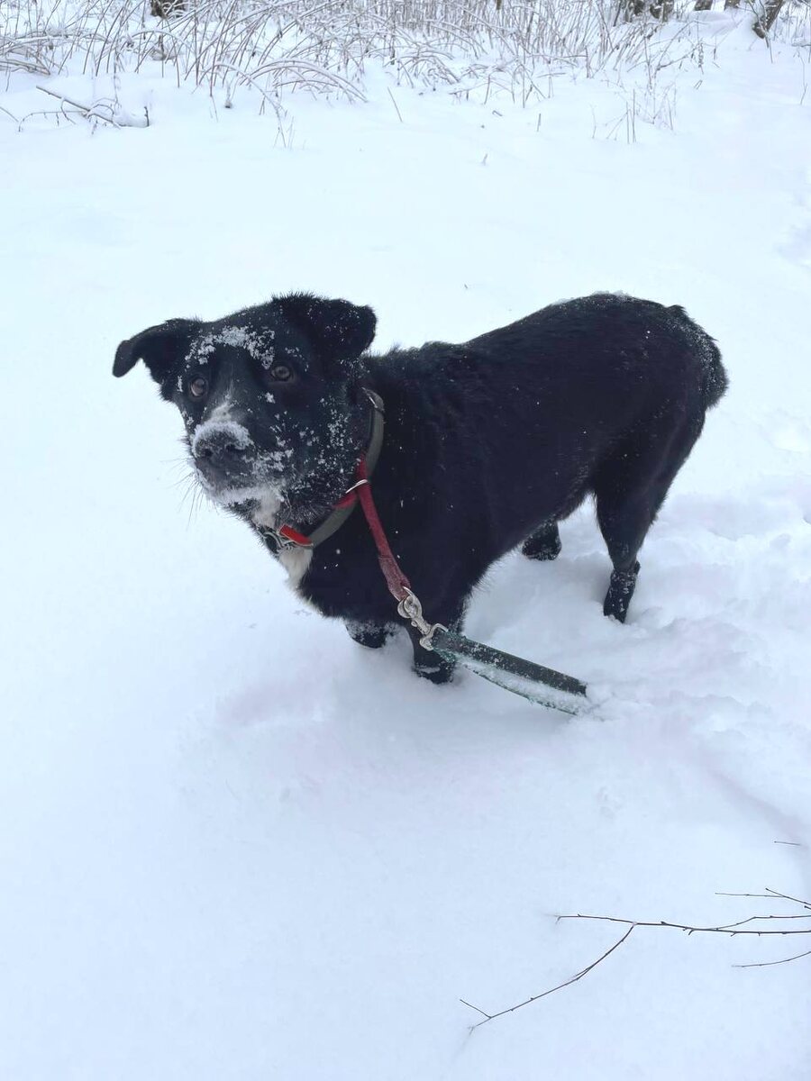 Вот расскажи мне друг, зачем мне это всё и за что?
