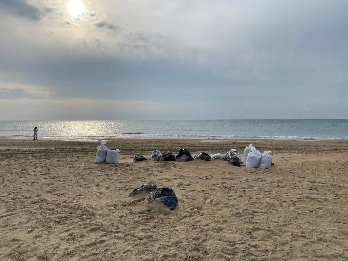 Фото: телеканал «Краснодар»