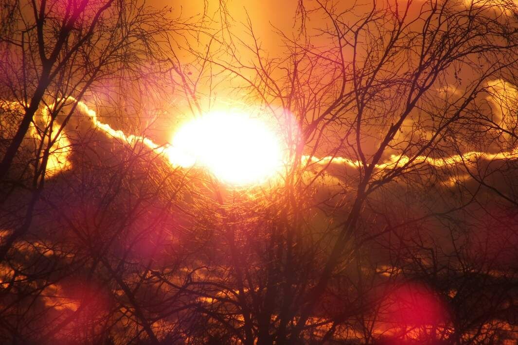 Фото: Global Look Press/Victor Lisitsyn