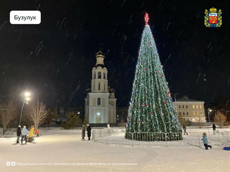    Оренбургские елки претендуют на звание лучших в России Марина Шарт