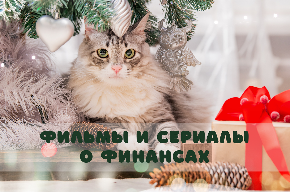 Фото: Shutterstock / Maria Moroz