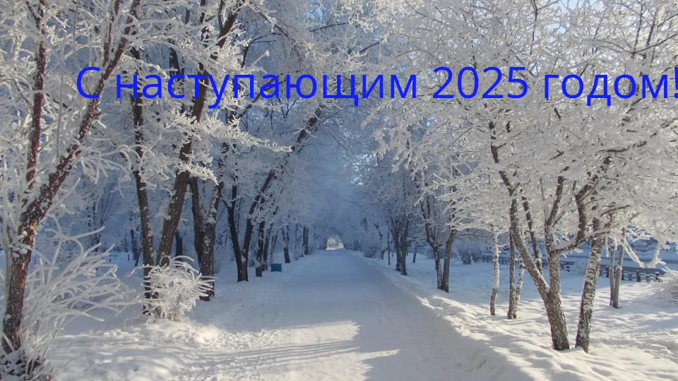 С наступающим Новым годом! Вот такая у нас красота!