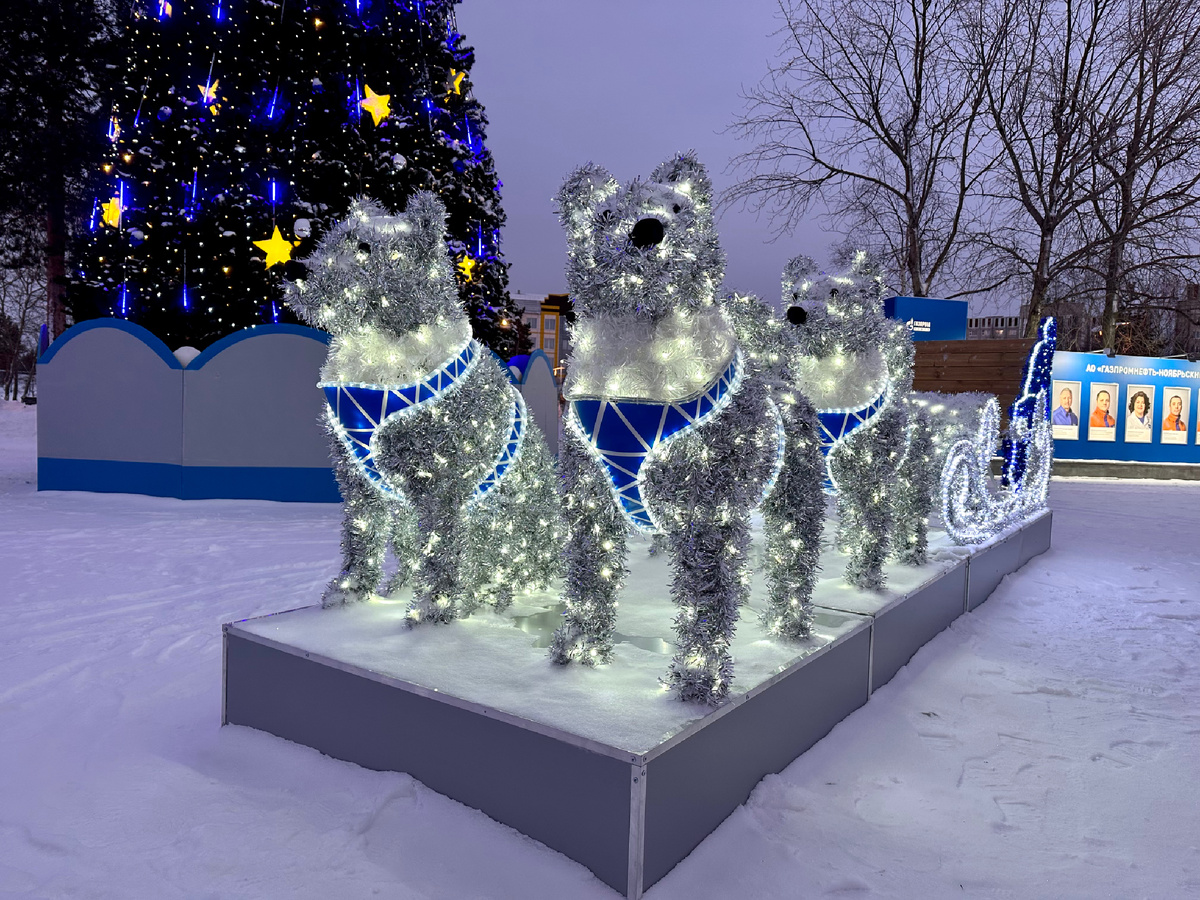 Упряжка с собаками.