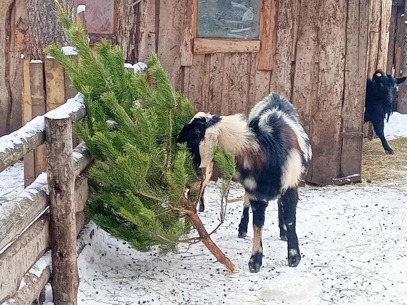    Фото: УК Экостандарт