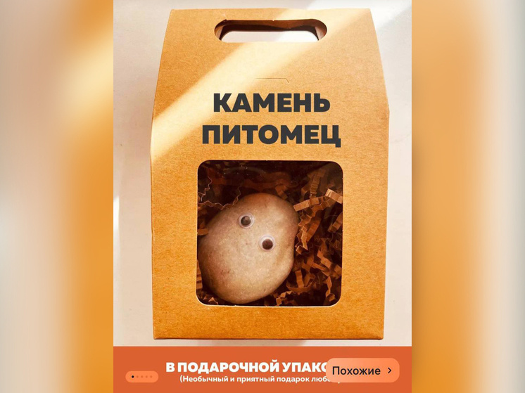 Фото: Соцсети