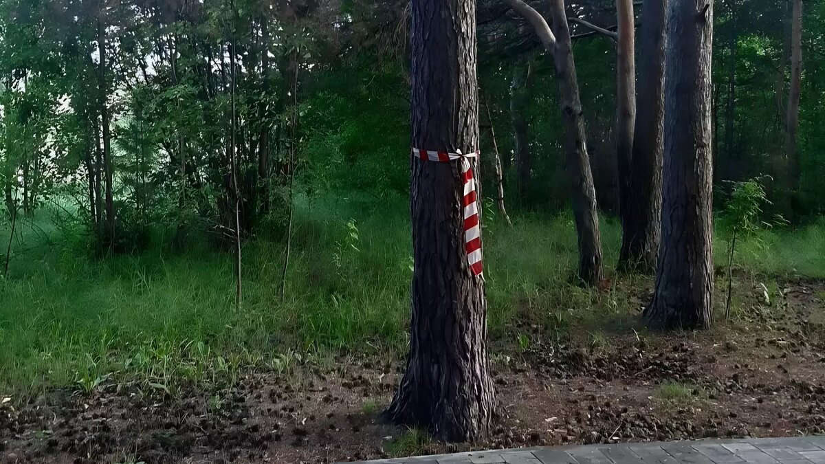     Автор: Ефросинья Рамазанова Источник: muksun.fm