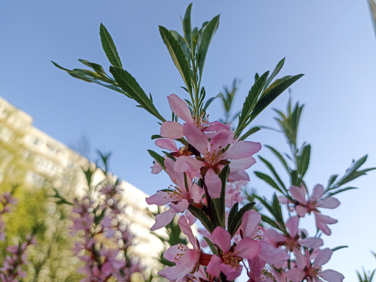 Весенние краски. Листайте галерею