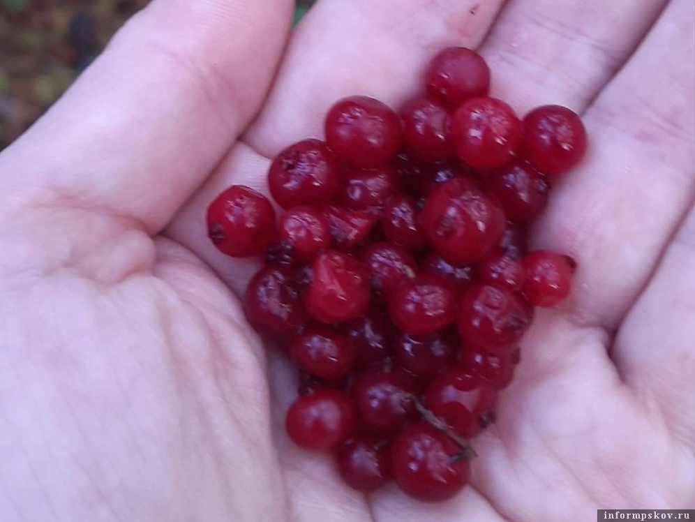 Фото Марины Ильиной