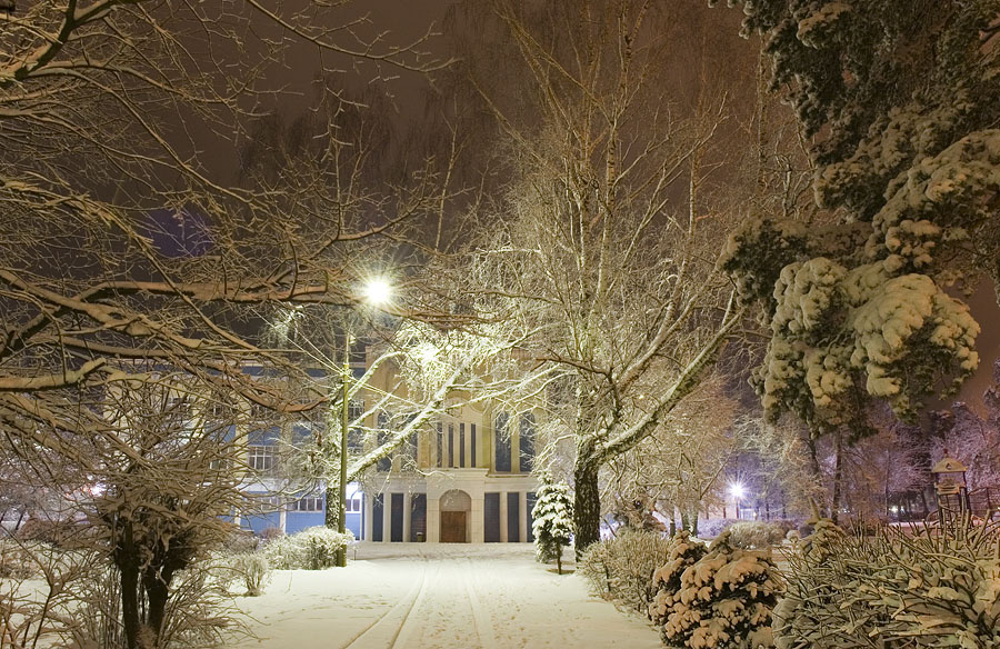 Зимняя сказка (фото от "Свирелки")