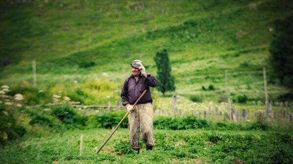    © Sputnik / Natalia Airiyan