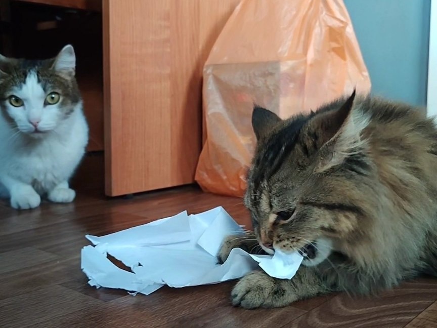 ... здорово помогает снять стресс