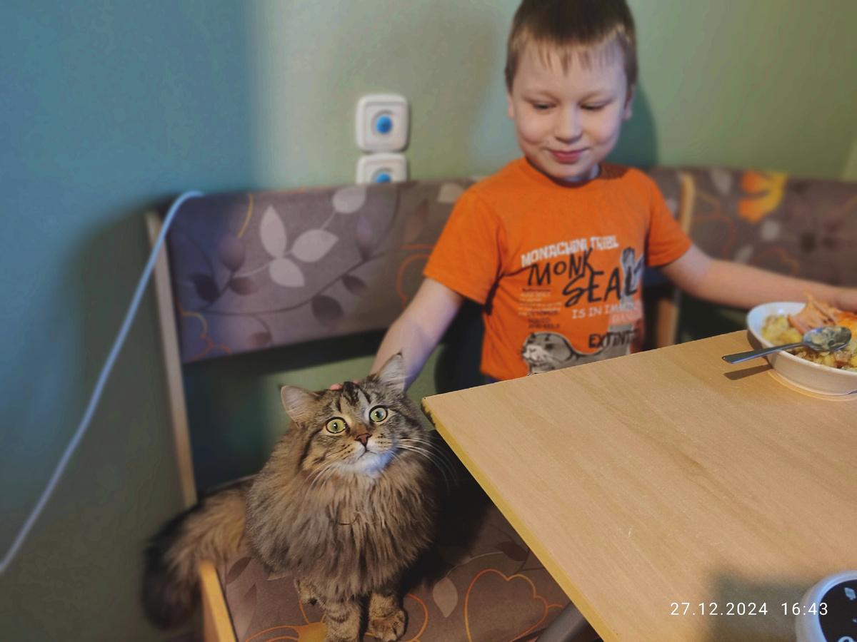 Пришла к Паше. Изображала голод. Заглядывала в рот. Лапы у Масяни, конечно, огромные. Опасность сразу ощущается, когда такие лапы видишь