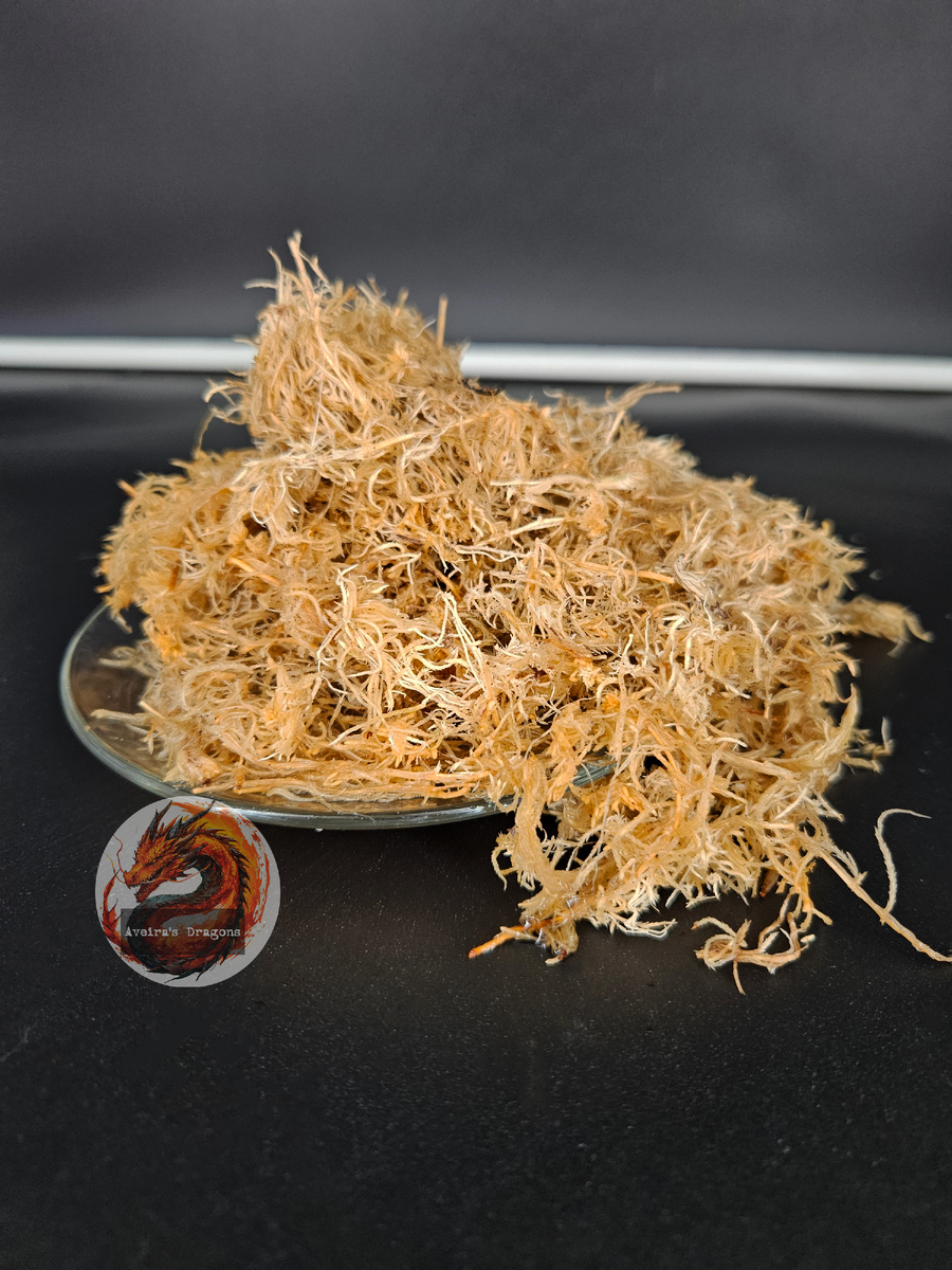 Мох, как правило, привозят высушенным, из-за чего он имеет коричневатый оттенок