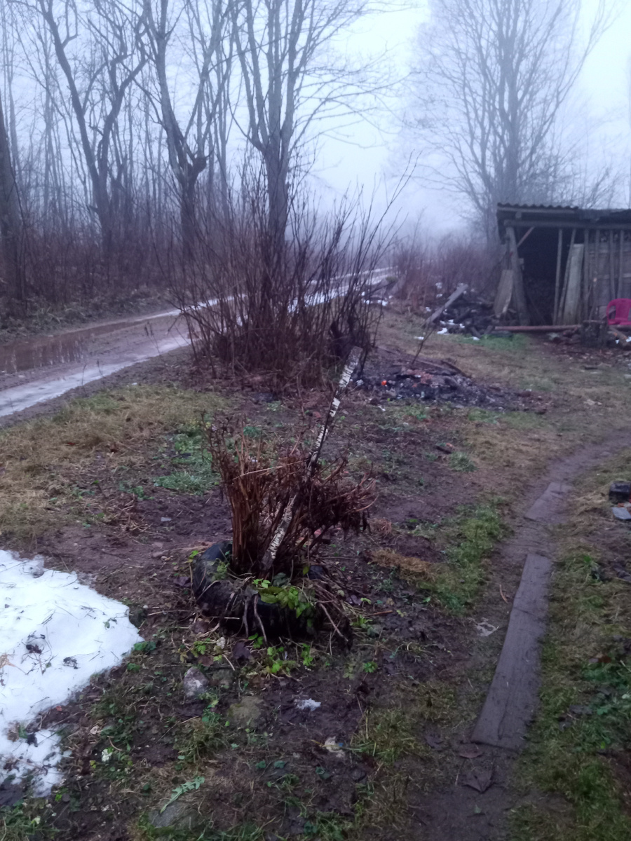 28 декабря. Псковщина.