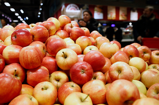 Фото: Артем Геодакян/ТАСС