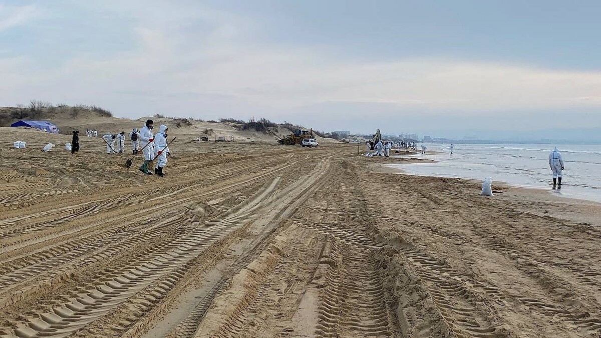    Фото: телеканал «Краснодар»