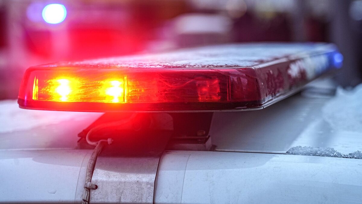    Фото: ИЗВЕСТИЯ/Павел Волков