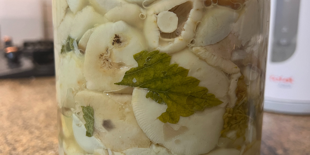 Новогодние сыроежки. Идеальные, вкусные, простые в приготовлении