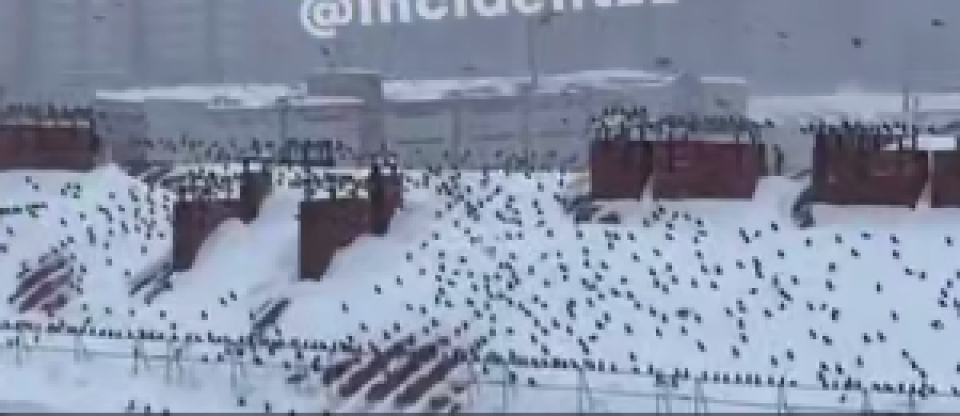    Нашествие птиц в Барнауле. Источник: Кадр из видео