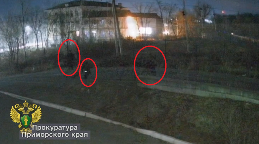    Источник фото: Прокуратура Приморского края