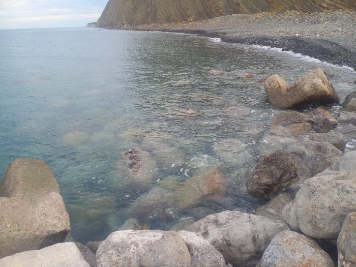    оперативный штаб Краснодарского края