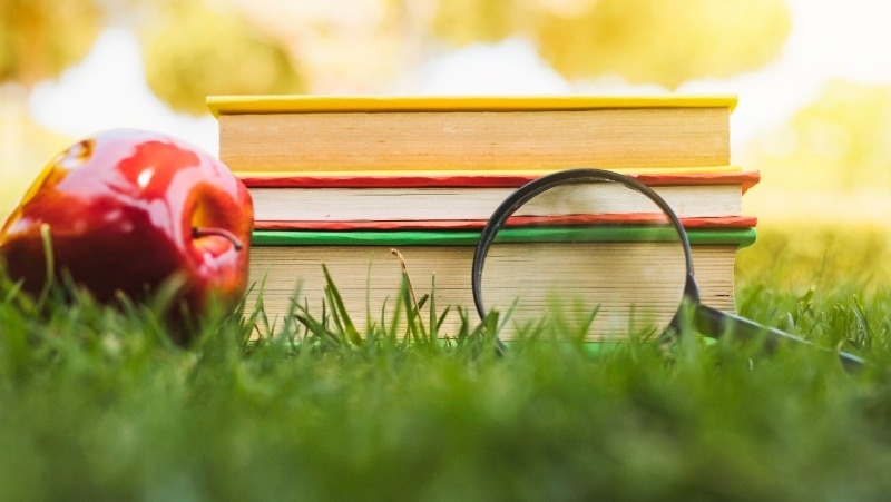 @freepik / freepik.com