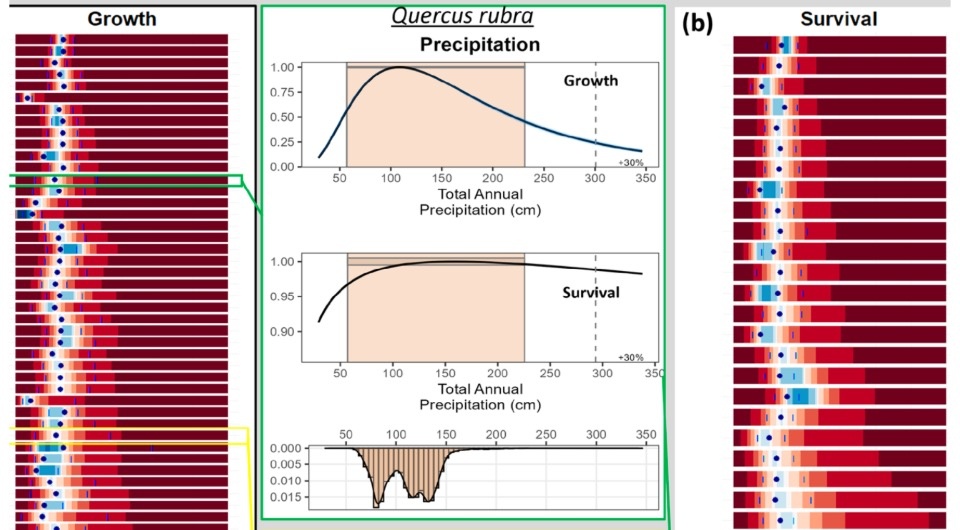   Christopher Clark et al. / Global Change Biology, 2024