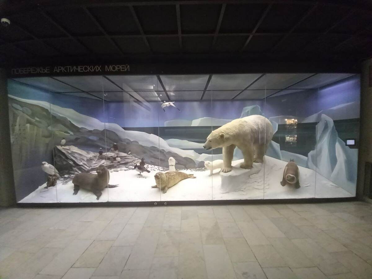 Фото дочери