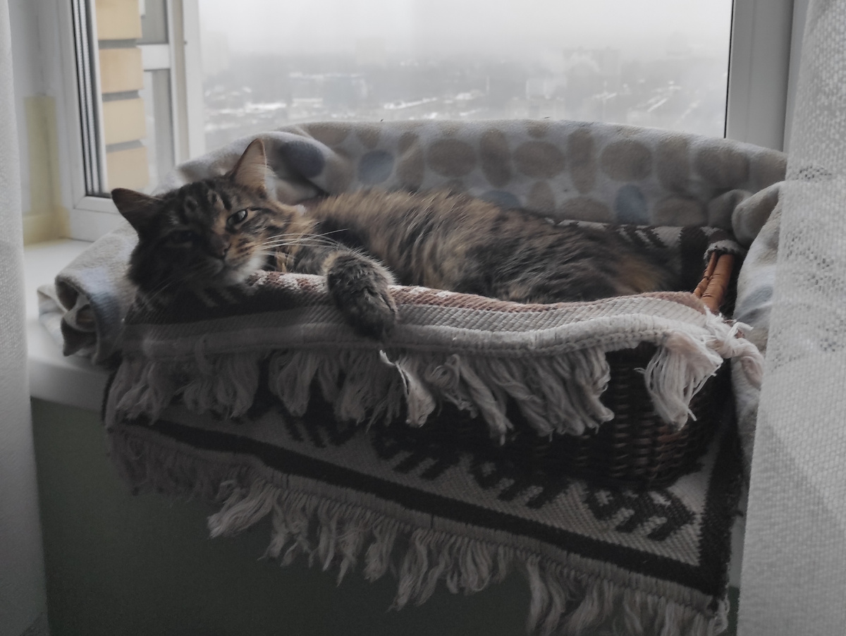 Чушка, подъем! 