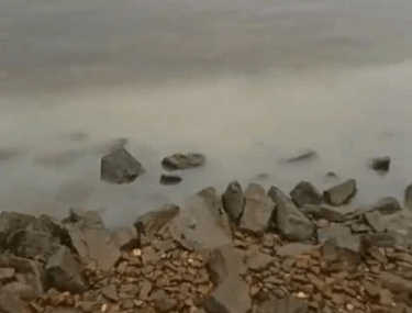    Фото: Рыбалка Волгоградской области / Vk.com