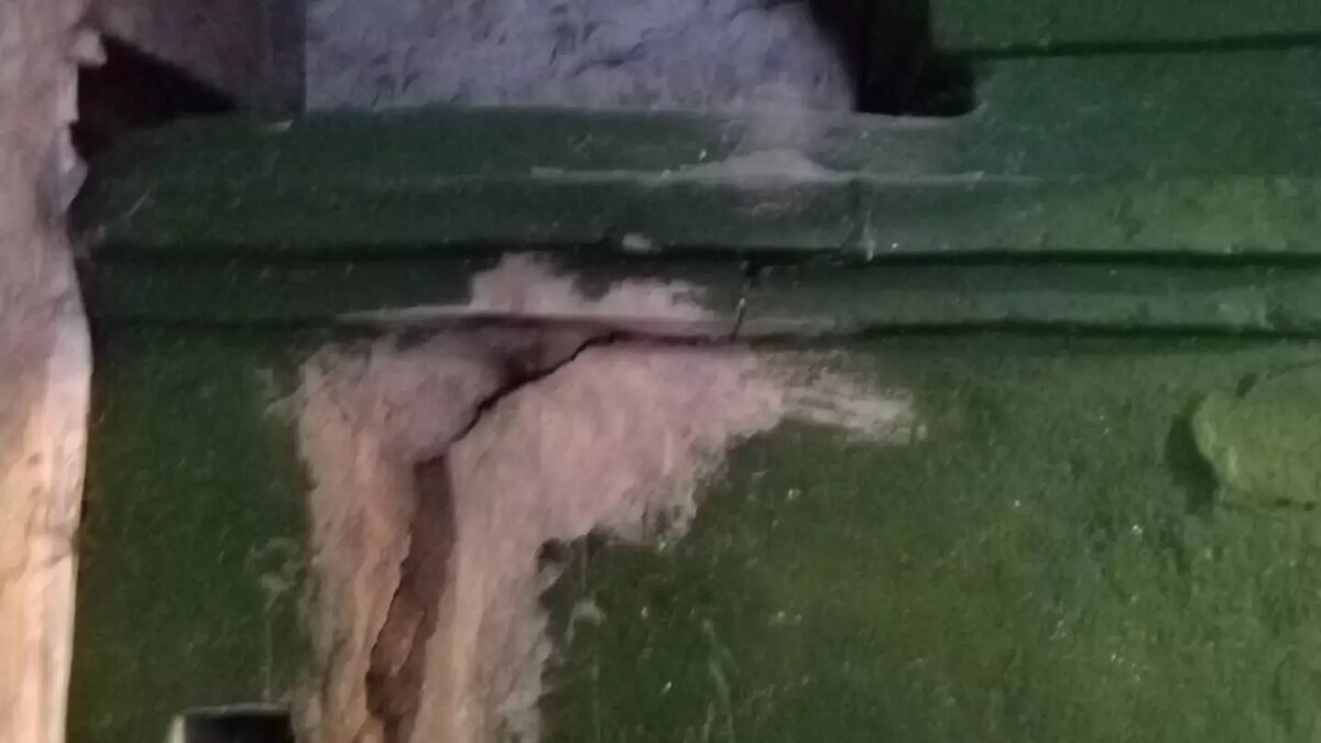     Источник: КАРЕЛФОРНИЯ NEWS | Петрозаводск и Карелия / vk