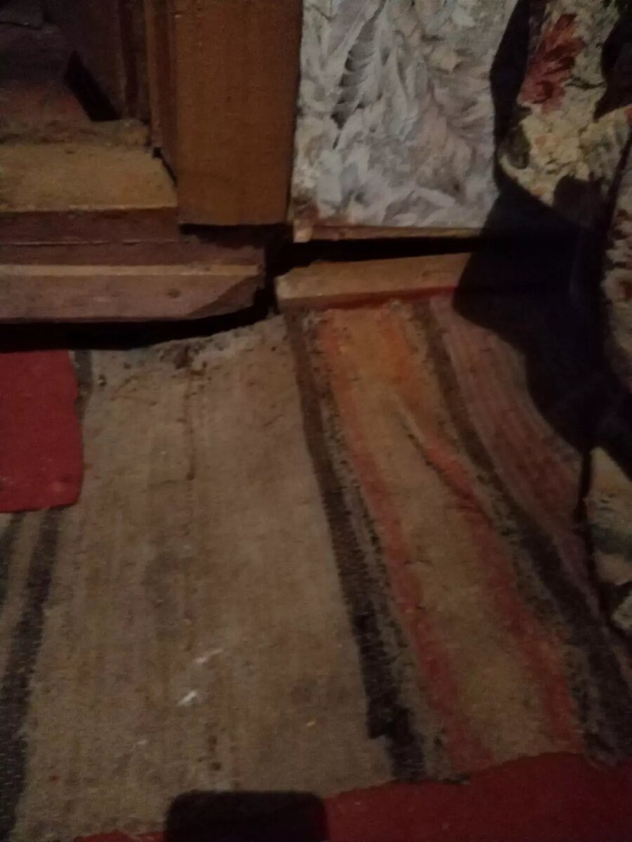     Источник: КАРЕЛФОРНИЯ NEWS | Петрозаводск и Карелия / vk