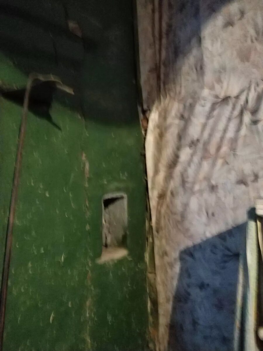     Источник: КАРЕЛФОРНИЯ NEWS | Петрозаводск и Карелия / vk