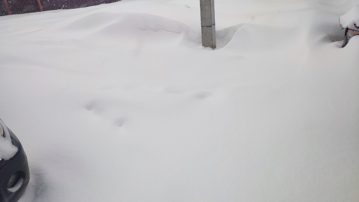 На парковке сплошной сугроб