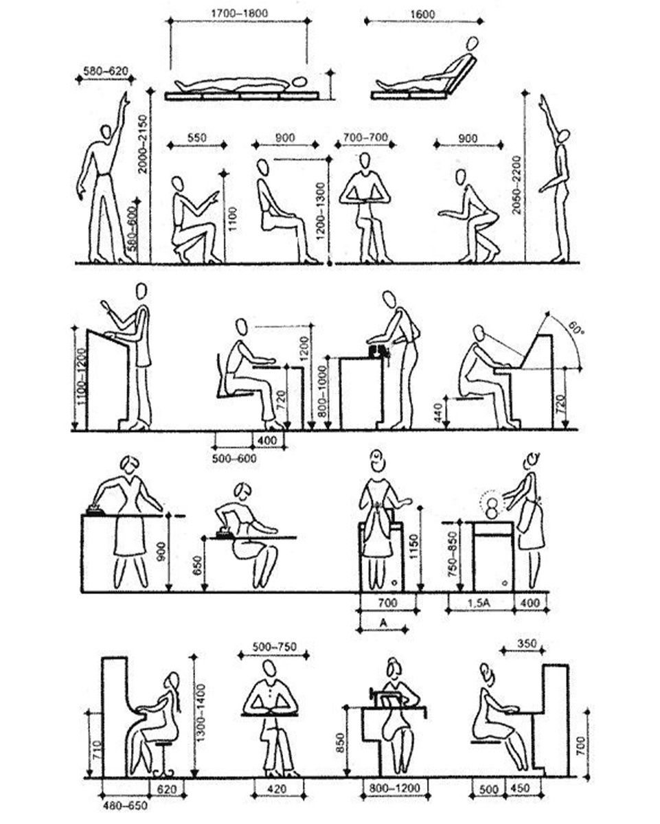 Эргономическая схема