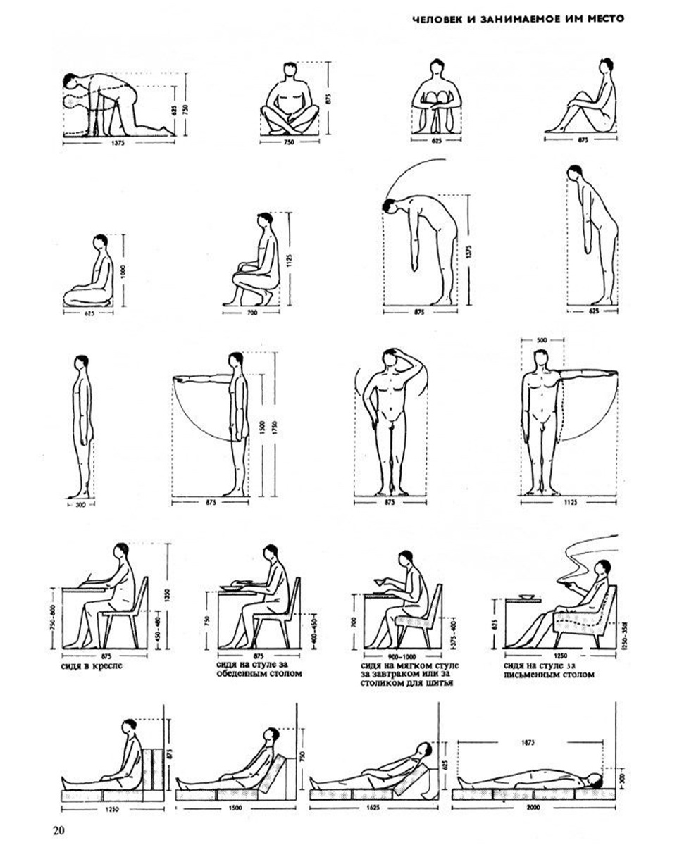 Эргономическая схема