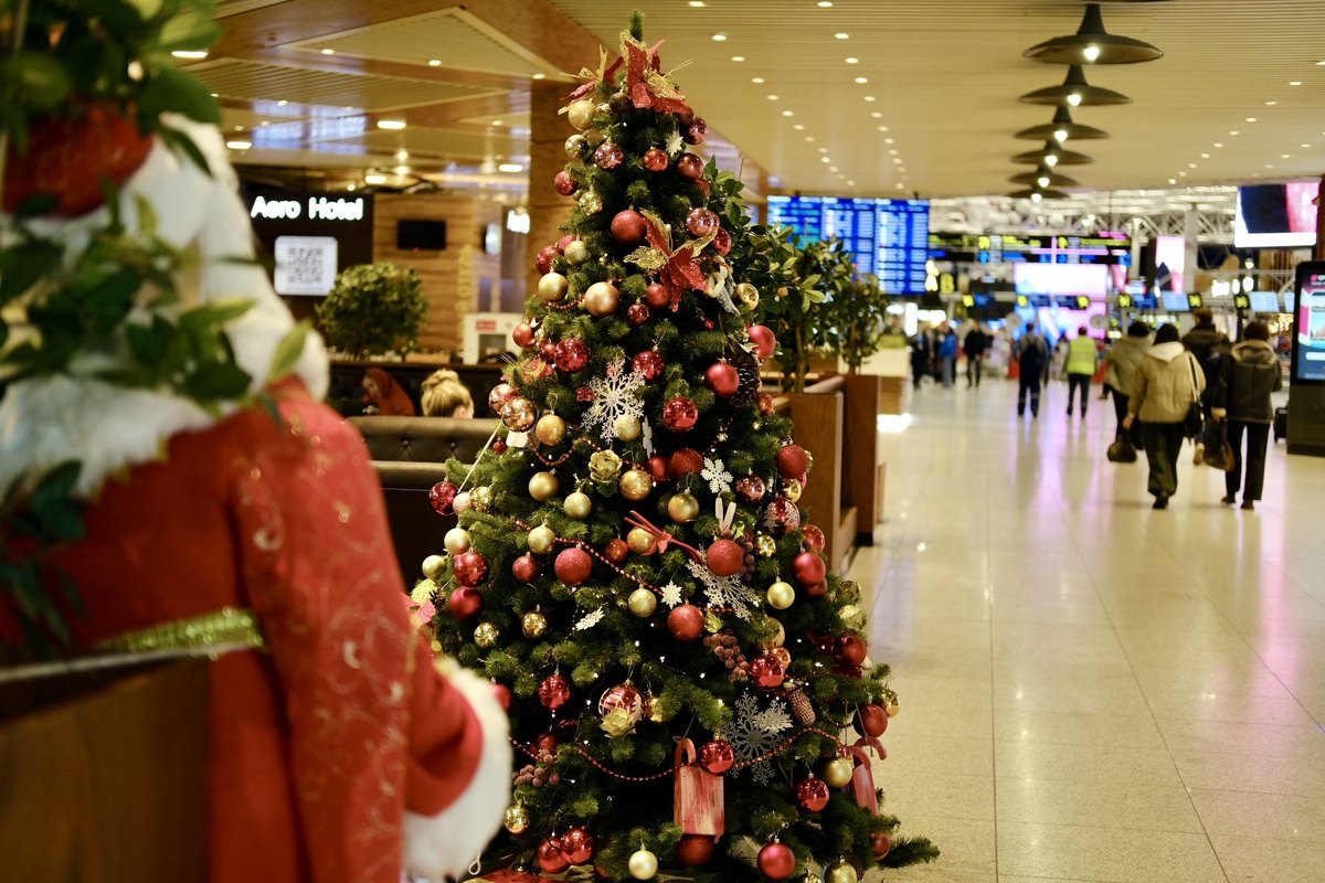 Фото: пресс-служба аэропорта Сочи  📷
