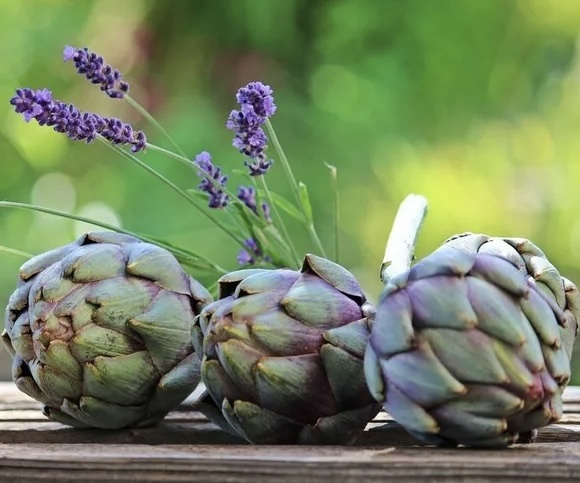 Артишок